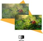 AOC Monitor 24” in Oman – Full HD 120Hz Smooth Display HDMI VGA - Image 7