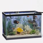 Aquarium Heater 25W – Adjustable Submersible Fish Tank Heater for Tropical Fish | - Image 4