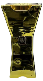 Hair Bakhour Electric Diffuser B006 - Portable USB Rechargeable Bakhoor Comb & Flameless Burner