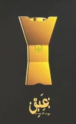 Hair Bakhour Electric Diffuser B006 - Portable USB Rechargeable Bakhoor Comb & Flameless Burner - Image 2