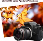 Jintu 35 mm f/2.0 Manual Portrait Prime Lens for Nikon (Full-Frame/APS-C) - Dust-&-Moisture-Sealed, Ultra-Low Dispersion Optics - Image 3