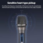 Professional V21 2‑in‑1 Wireless Mic Set – Dual Rechargeable Handheld UHF Microphones - Image 3